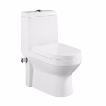 UK Hot Selling Sanitary Ware Back to Wall Toilet With Spray Nozzle